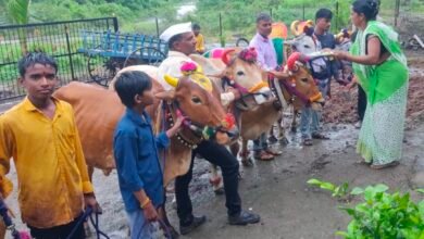 Photo of किनगाव जट्टू येथे बैलपोळा उत्साहात साजरा